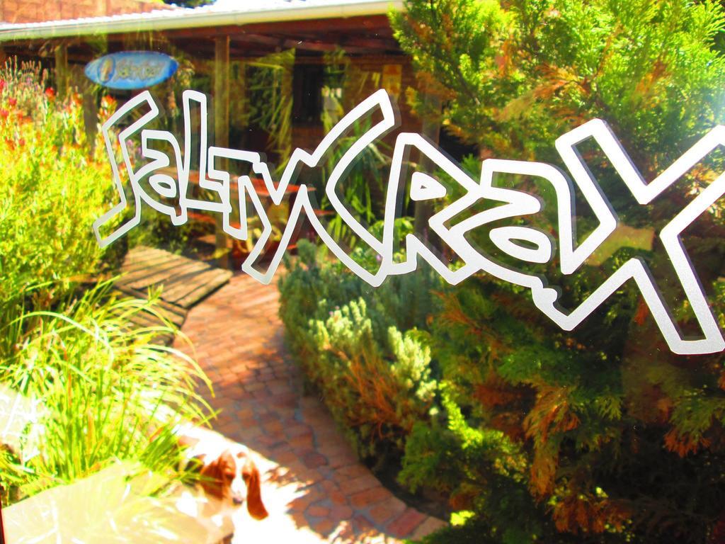 Saltycrax Backpackers And Surf Hostel By Curiocity Блаубергстранд Экстерьер фото